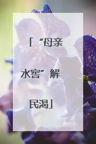 “母亲水窖”解民渴