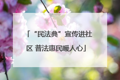 “民法典”宣传进社区 普法惠民暖人心