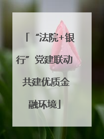 “法院+银行”党建联动 共建优质金融环境