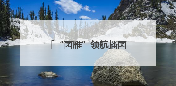 “菌雁”领航播菌种 山西垣曲望仙村椴木成金绘振兴