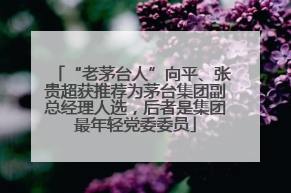“老茅台人”向平、张贵超获推荐为茅台集团副总经理人选，后者是集团最年轻党委委员