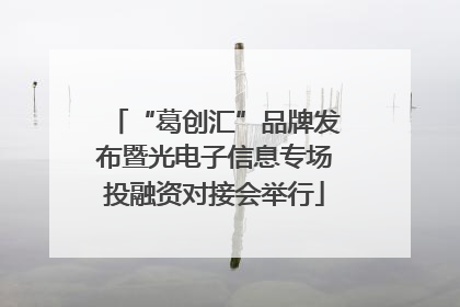 “葛创汇”品牌发布暨光电子信息专场投融资对接会举行