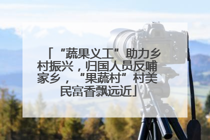 “蔬果义工”助力乡村振兴，归国人员反哺家乡，“果蔬村”村美民富香飘远近