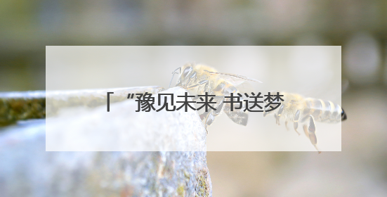 “豫见未来 书送梦想”公益图书室点亮永城五所乡村小学
