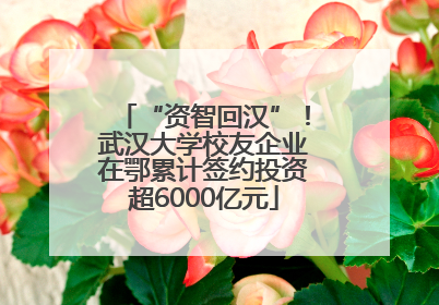 “资智回汉”！武汉大学校友企业在鄂累计签约投资超6000亿元