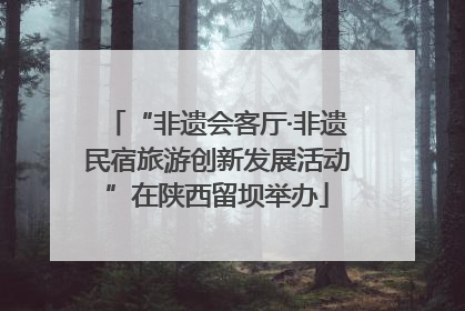 “非遗会客厅·非遗民宿旅游创新发展活动”在陕西留坝举办