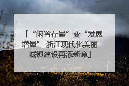 “闲置存量”变“发展增量” 浙江现代化美丽城镇建设再添新意