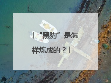 “黑豹”是怎样炼成的？