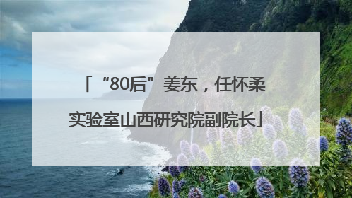 “80后”姜东，任怀柔实验室山西研究院副院长