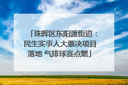 珠晖区东阳渡街道：民生实事人大票决项目落地 气排球赛点燃
