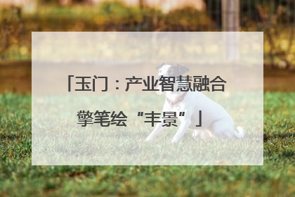 玉门：产业智慧融合 擎笔绘“丰景”