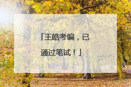 王皓考编，已通过笔试！