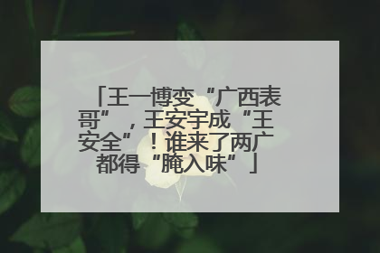 王一博变“广西表哥”，王安宇成“王安全”！谁来了两广都得“腌入味”