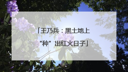 王乃兵：黑土地上“种”出红火日子