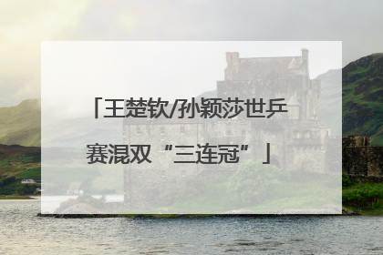 王楚钦/孙颖莎世乒赛混双“三连冠”