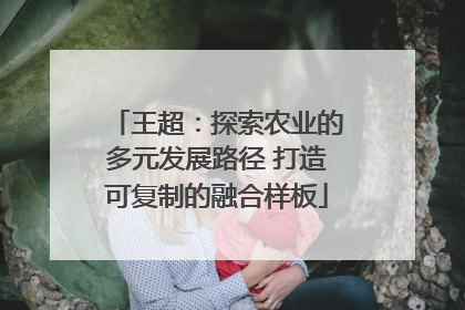 王超：探索农业的多元发展路径 打造可复制的融合样板