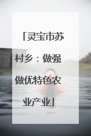 灵宝市苏村乡：做强做优特色农业产业