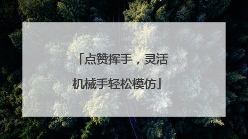 点赞挥手，灵活机械手轻松模仿