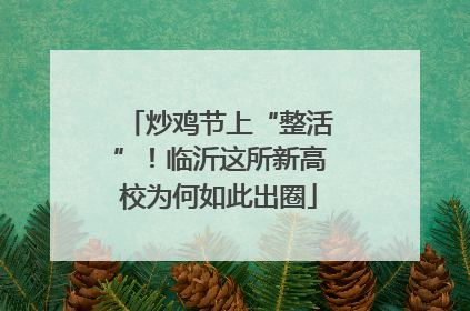 炒鸡节上“整活”！临沂这所新高校为何如此出圈