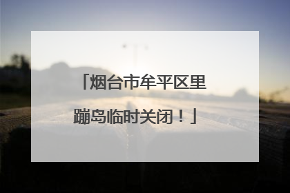 烟台市牟平区里蹦岛临时关闭！