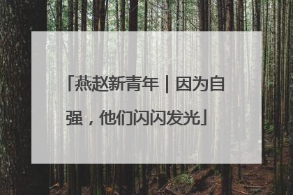 燕赵新青年｜因为自强，他们闪闪发光
