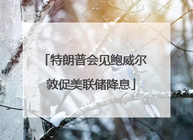特朗普会见鲍威尔 敦促美联储降息