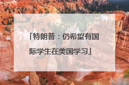 特朗普：仍希望有国际学生在美国学习