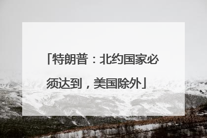 特朗普：北约国家必须达到，美国除外