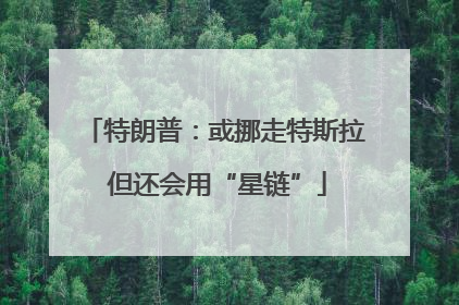 特朗普：或挪走特斯拉 但还会用“星链”