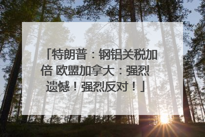 特朗普：钢铝关税加倍 欧盟加拿大：强烈遗憾！强烈反对！