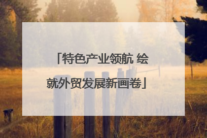 特色产业领航 绘就外贸发展新画卷