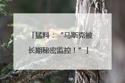 猛料：“马斯克被长期秘密监控！”