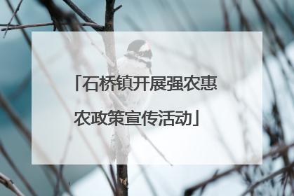 石桥镇开展强农惠农政策宣传活动