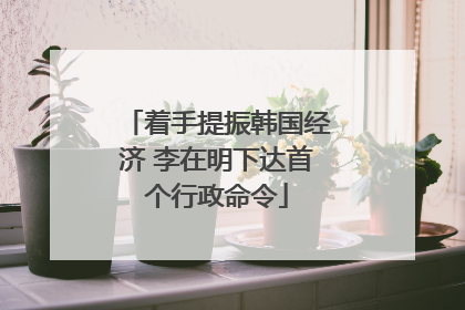 着手提振韩国经济 李在明下达首个行政命令