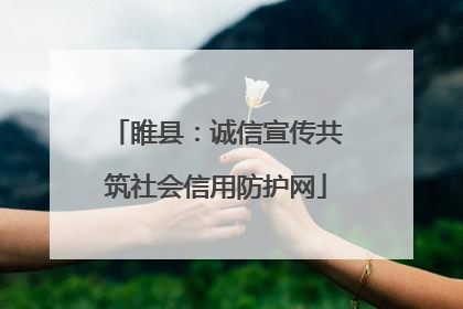 睢县：诚信宣传共筑社会信用防护网