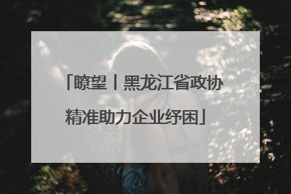 瞭望丨黑龙江省政协精准助力企业纾困