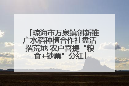 琼海市万泉镇创新推广水稻种植合作社盘活撂荒地 农户喜提“粮食+钞票”分红