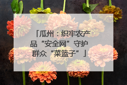 瓜州：织牢农产品“安全网”守护群众“菜篮子”