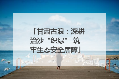 甘肃古浪：深耕治沙“织绿” 筑牢生态安全屏障