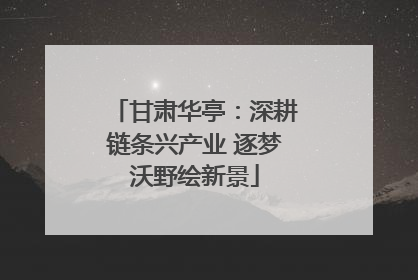 甘肃华亭：深耕链条兴产业 逐梦沃野绘新景