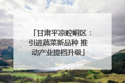 甘肃平凉崆峒区：引进蔬菜新品种 推动产业提档升级