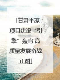 甘肃平凉：项目建设“引擎”轰鸣 高质量发展奋战正酣