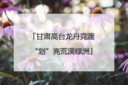 甘肃高台龙舟竞渡“划”亮荒漠绿洲