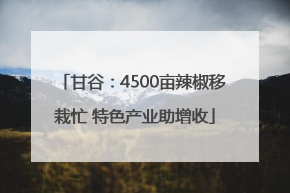 甘谷：4500亩辣椒移栽忙 特色产业助增收