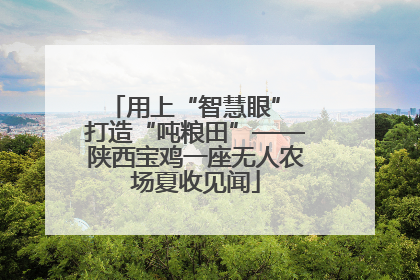 用上“智慧眼” 打造“吨粮田”——陕西宝鸡一座无人农场夏收见闻