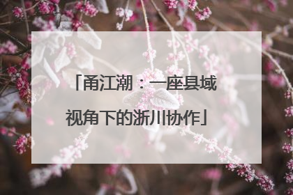 甬江潮：一座县域视角下的浙川协作