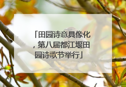 田园诗意具像化，第八届都江堰田园诗歌节举行
