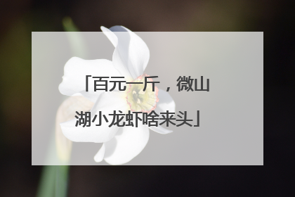 百元一斤，微山湖小龙虾啥来头