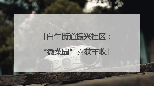 白午街道振兴社区：“微菜园”喜获丰收
