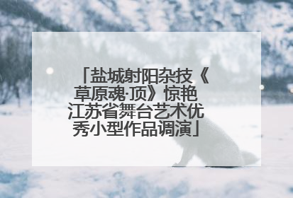 盐城射阳杂技《草原魂·顶》惊艳江苏省舞台艺术优秀小型作品调演